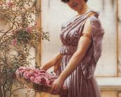 约翰威廉格维得 - The Flowers of Venus